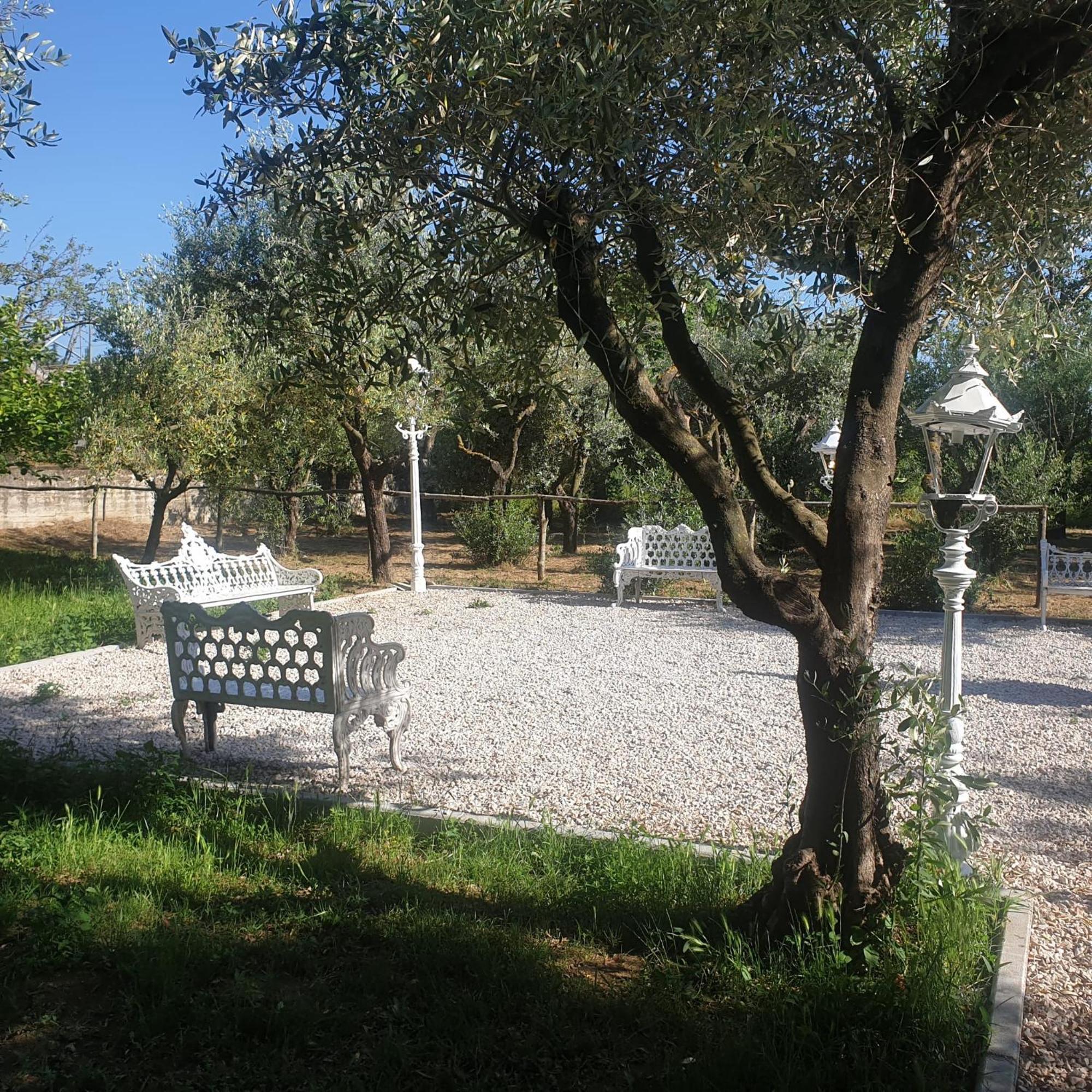 Tenuta Oliva Fisciano Exterior photo