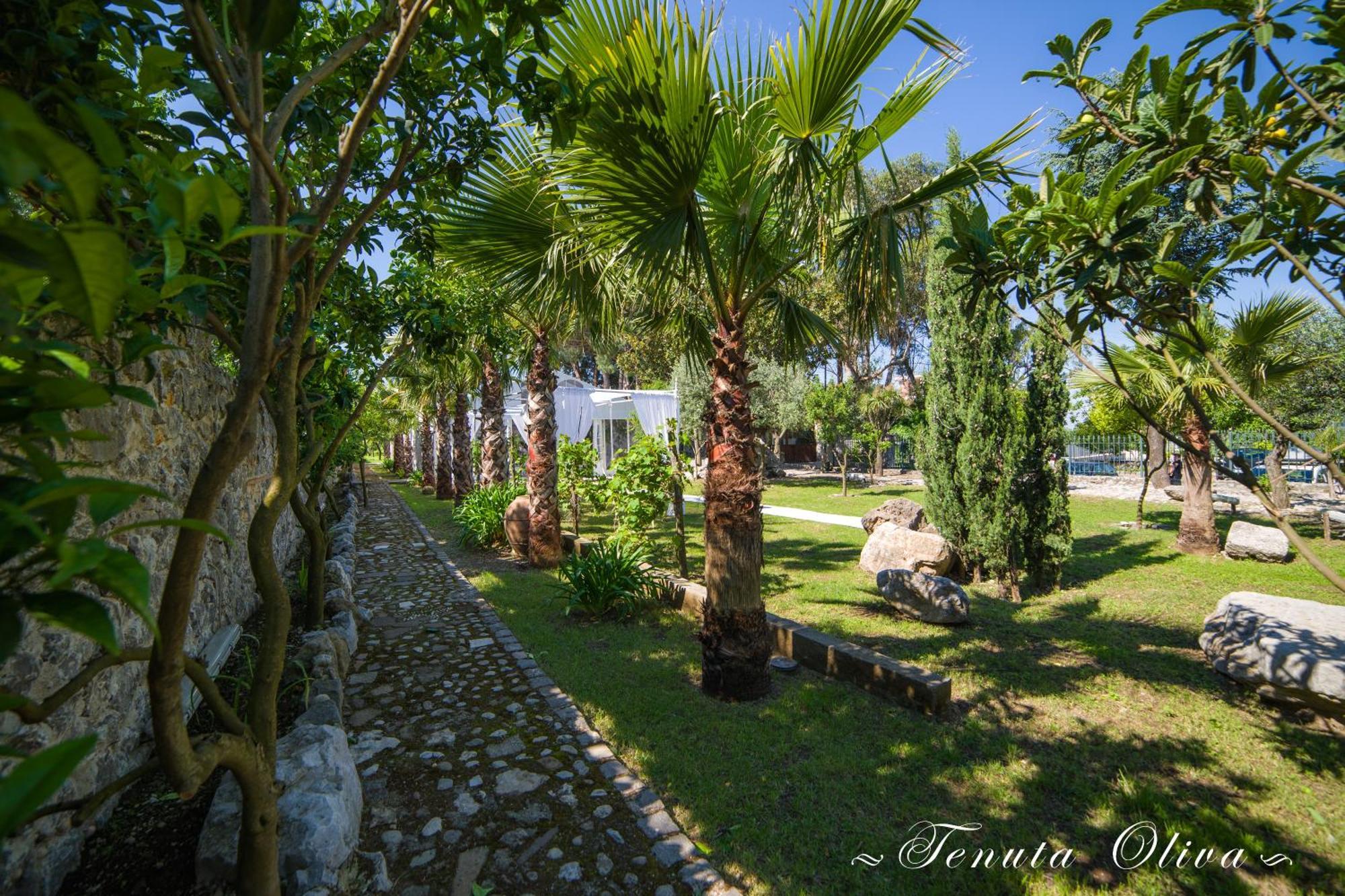 Tenuta Oliva Fisciano Exterior photo