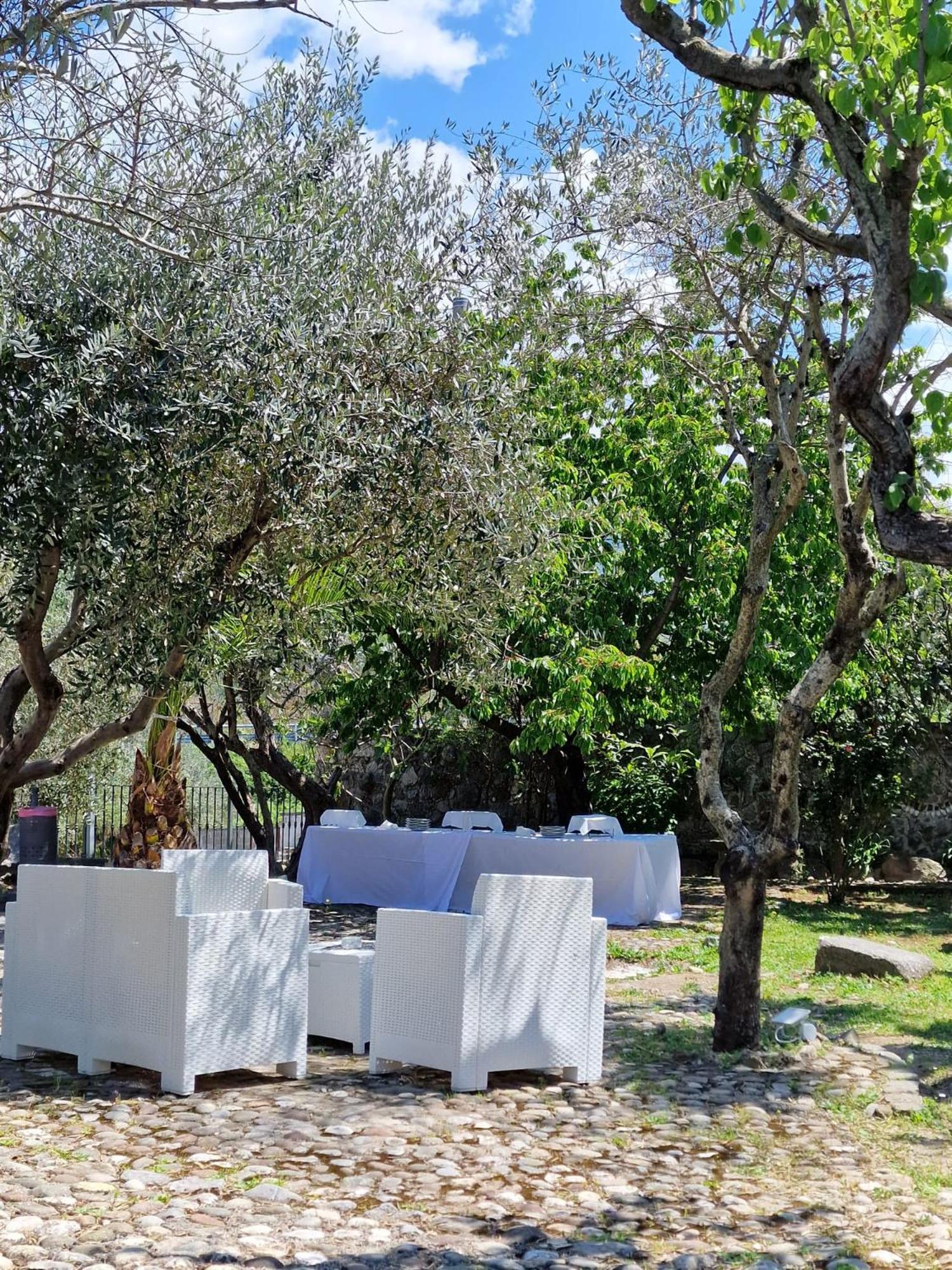 Tenuta Oliva Fisciano Exterior photo